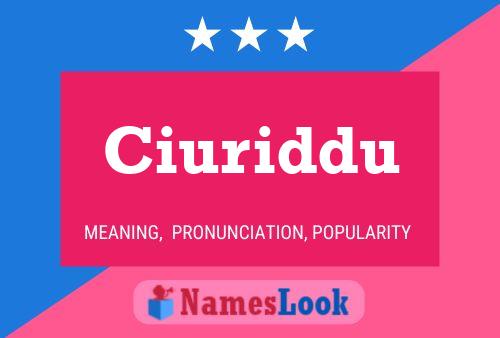 Poster del nome Ciuriddu