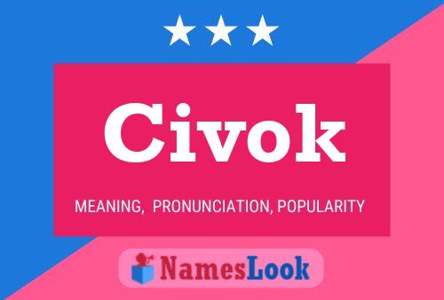 Poster del nome Civok