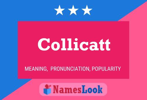 Poster del nome Collicatt