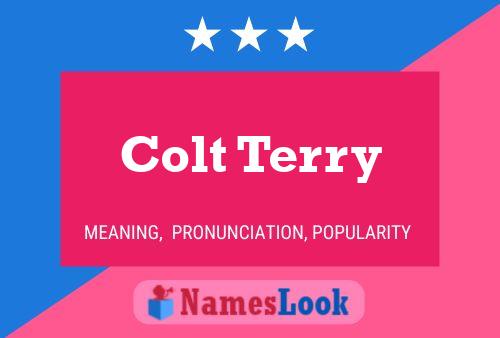 Poster del nome Colt Terry