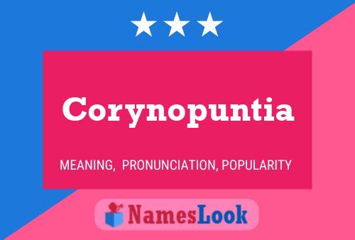 Poster del nome Corynopuntia