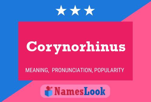 Poster del nome Corynorhinus