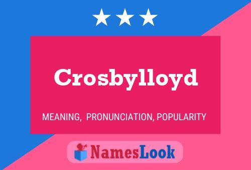 Poster del nome Crosbylloyd