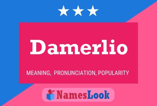 Poster del nome Damerlio