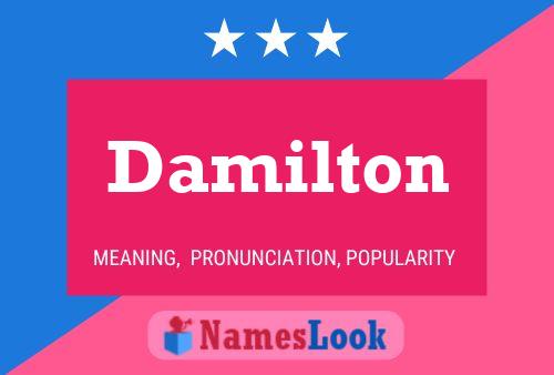 Poster del nome Damilton