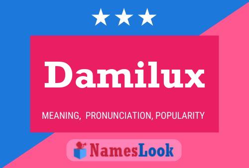 Poster del nome Damilux