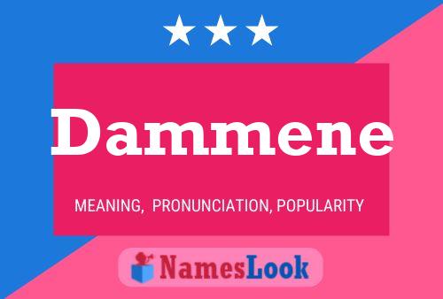 Poster del nome Dammene