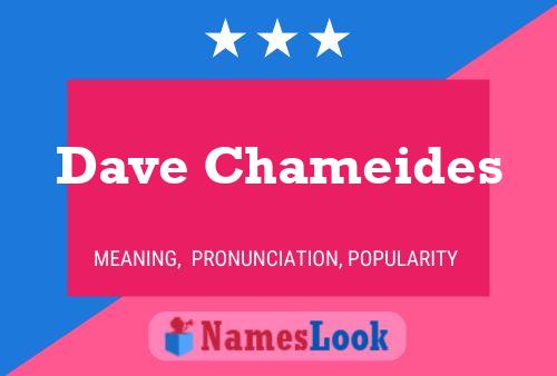 Poster del nome Dave Chameides