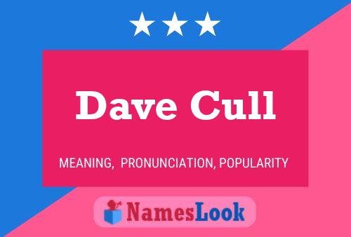 Poster del nome Dave Cull