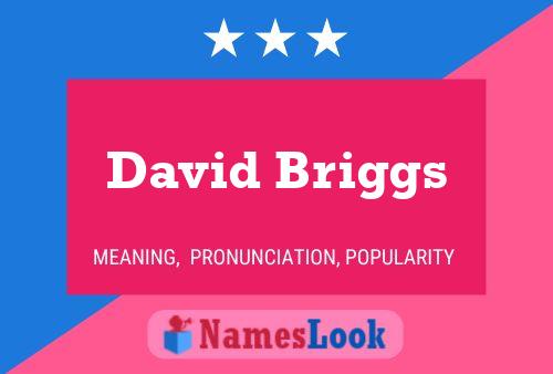 Poster del nome David Briggs