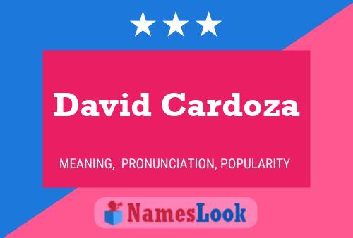 Poster del nome David Cardoza