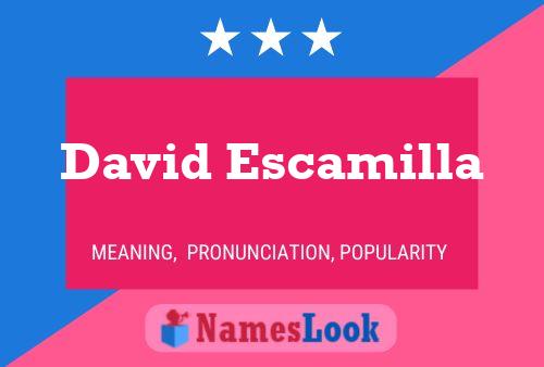 Poster del nome David Escamilla