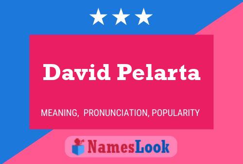 Poster del nome David Pelarta