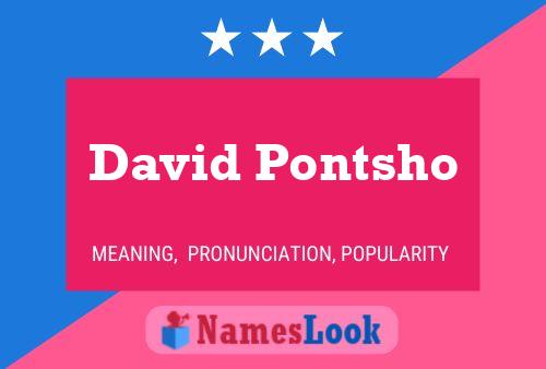 Poster del nome David Pontsho