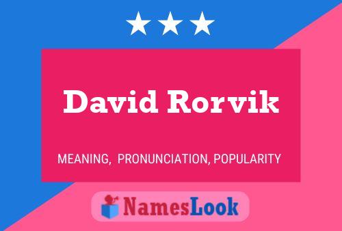 Poster del nome David Rorvik