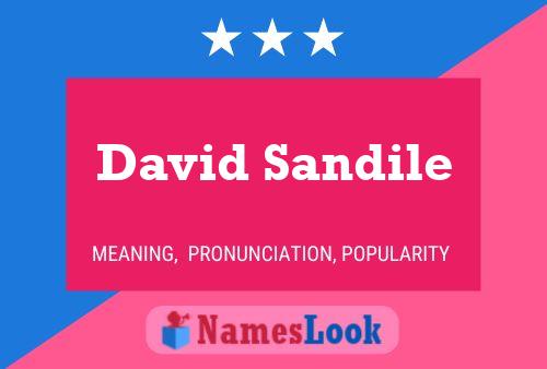 Poster del nome David Sandile