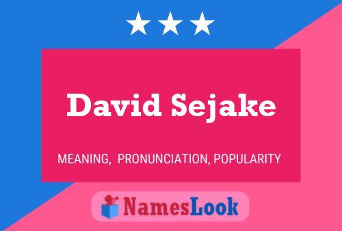 Poster del nome David Sejake