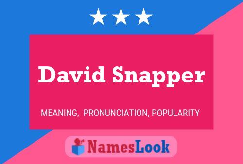 Poster del nome David Snapper