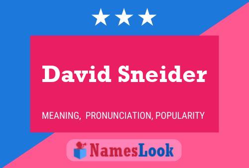 Poster del nome David Sneider