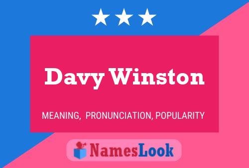 Poster del nome Davy Winston