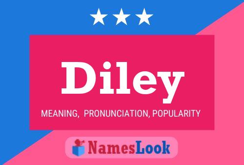 Poster del nome Diley