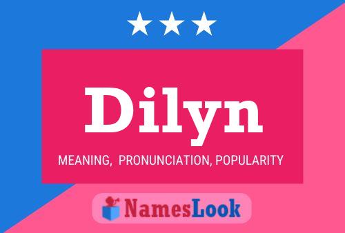 Poster del nome Dilyn