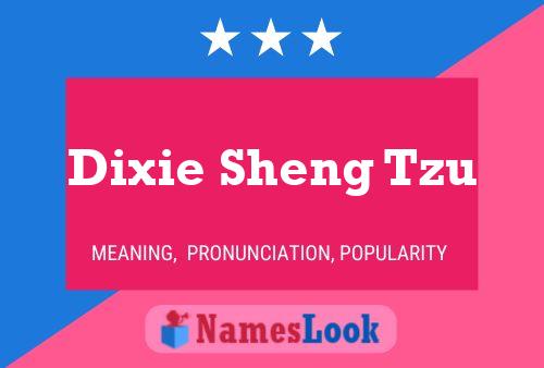 Poster del nome Dixie Sheng Tzu