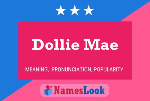 Poster del nome Dollie Mae