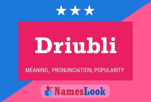 Poster del nome Driubli