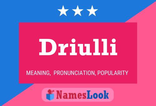 Poster del nome Driulli