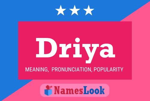 Poster del nome Driya