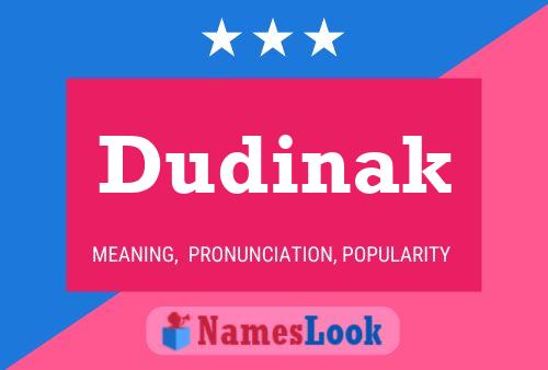 Poster del nome Dudinak