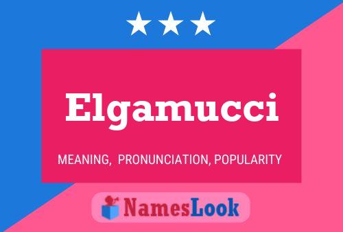 Poster del nome Elgamucci