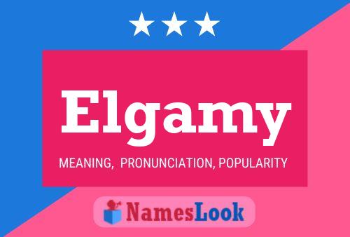 Poster del nome Elgamy