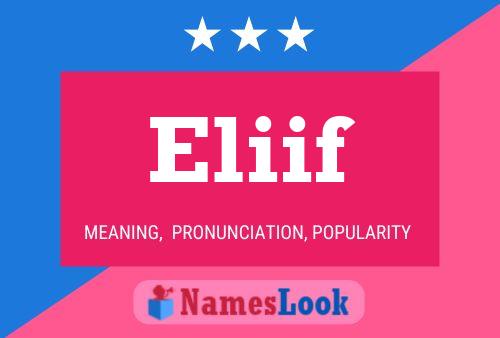 Poster del nome Eliif