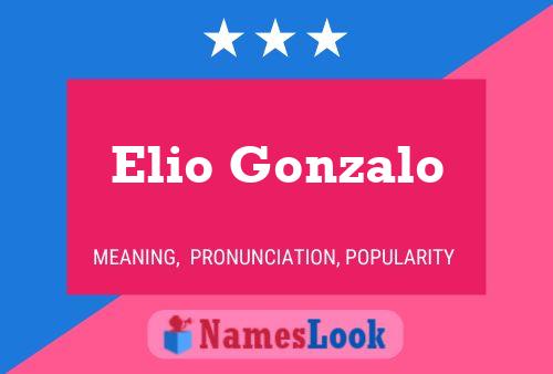 Poster del nome Elio Gonzalo