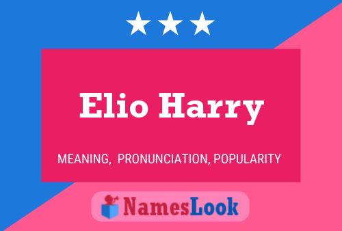 Poster del nome Elio Harry