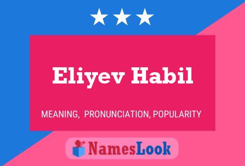 Poster del nome Eliyev Habil