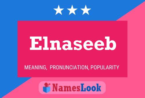 Poster del nome Elnaseeb