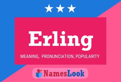 Poster del nome Erling