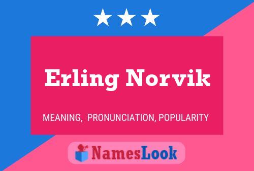 Poster del nome Erling Norvik