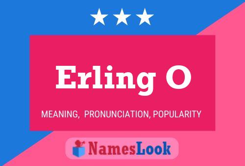 Poster del nome Erling O