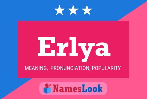 Poster del nome Erlya