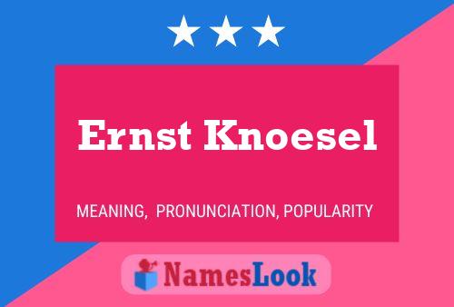 Poster del nome Ernst Knoesel