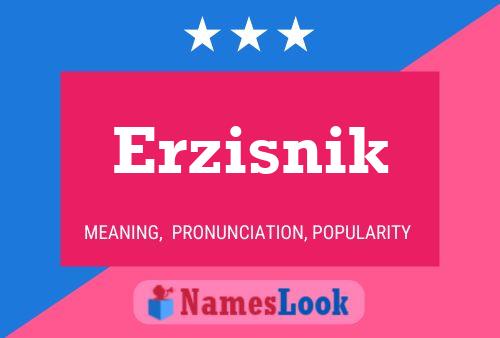 Poster del nome Erzisnik