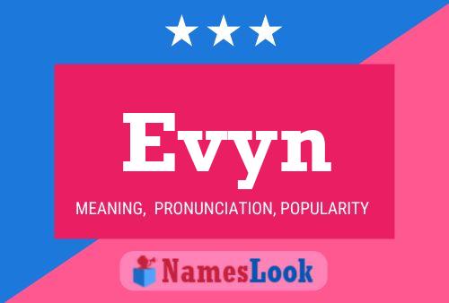 Poster del nome Evyn