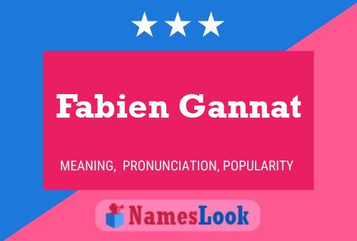 Poster del nome Fabien Gannat