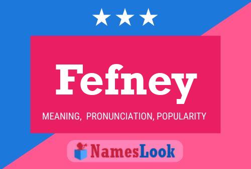 Poster del nome Fefney