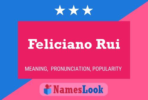 Poster del nome Feliciano Rui