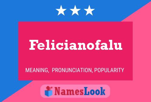 Poster del nome Felicianofalu